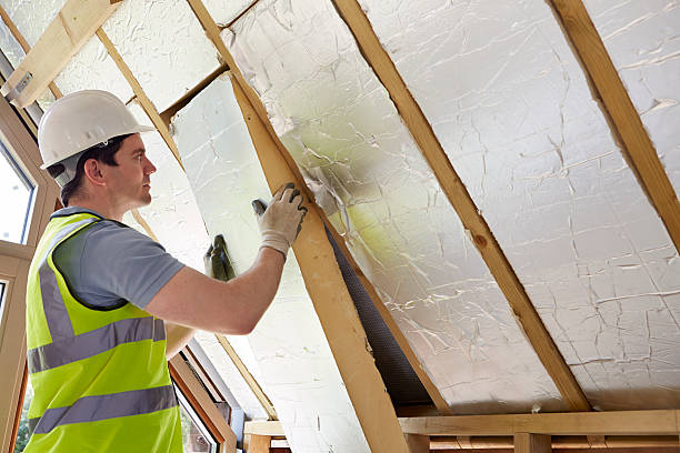 Best Residential Insulation in Stanley, ND